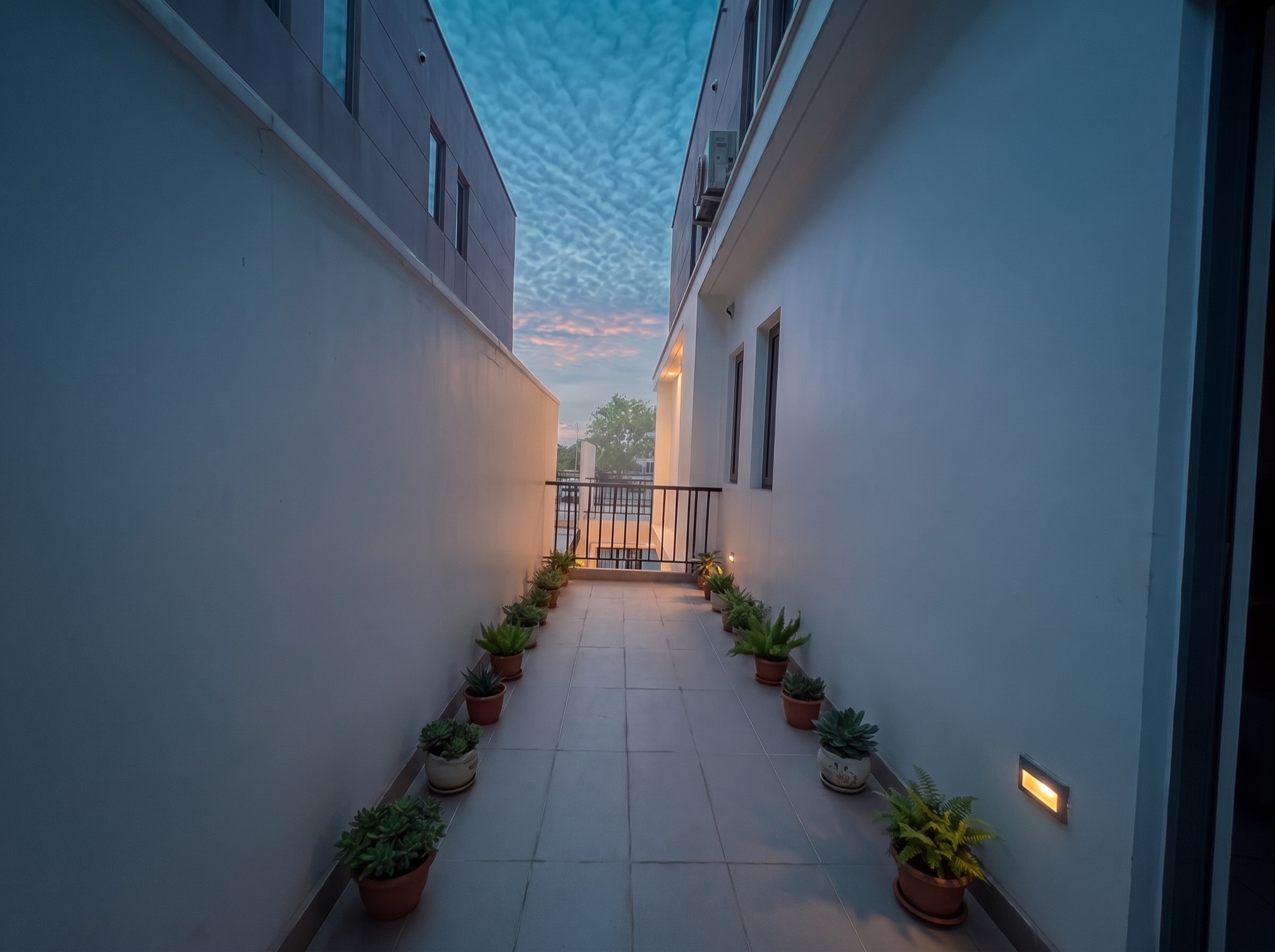 The walkway before sunrise